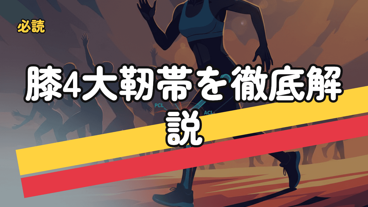 膝靭帯損傷の完全ガイド｜ACL・PCL・MCL・LCLの症状と治療を徹底解説