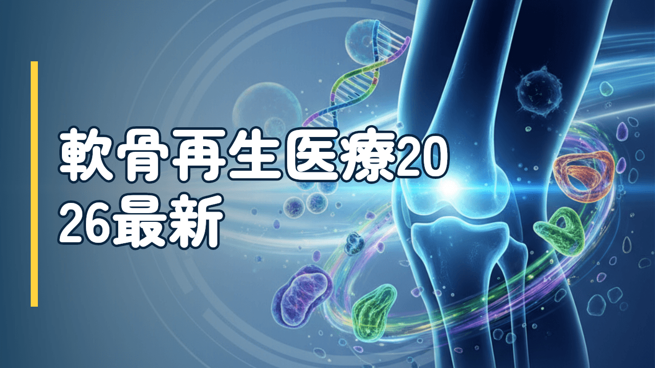 膝軟骨再生の最新臨床試験動向2026｜iPS・培養軟骨・遺伝子治療