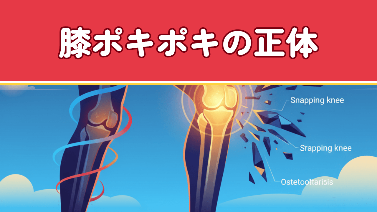 膝がポキポキ鳴る原因｜心配な音・受診の目安