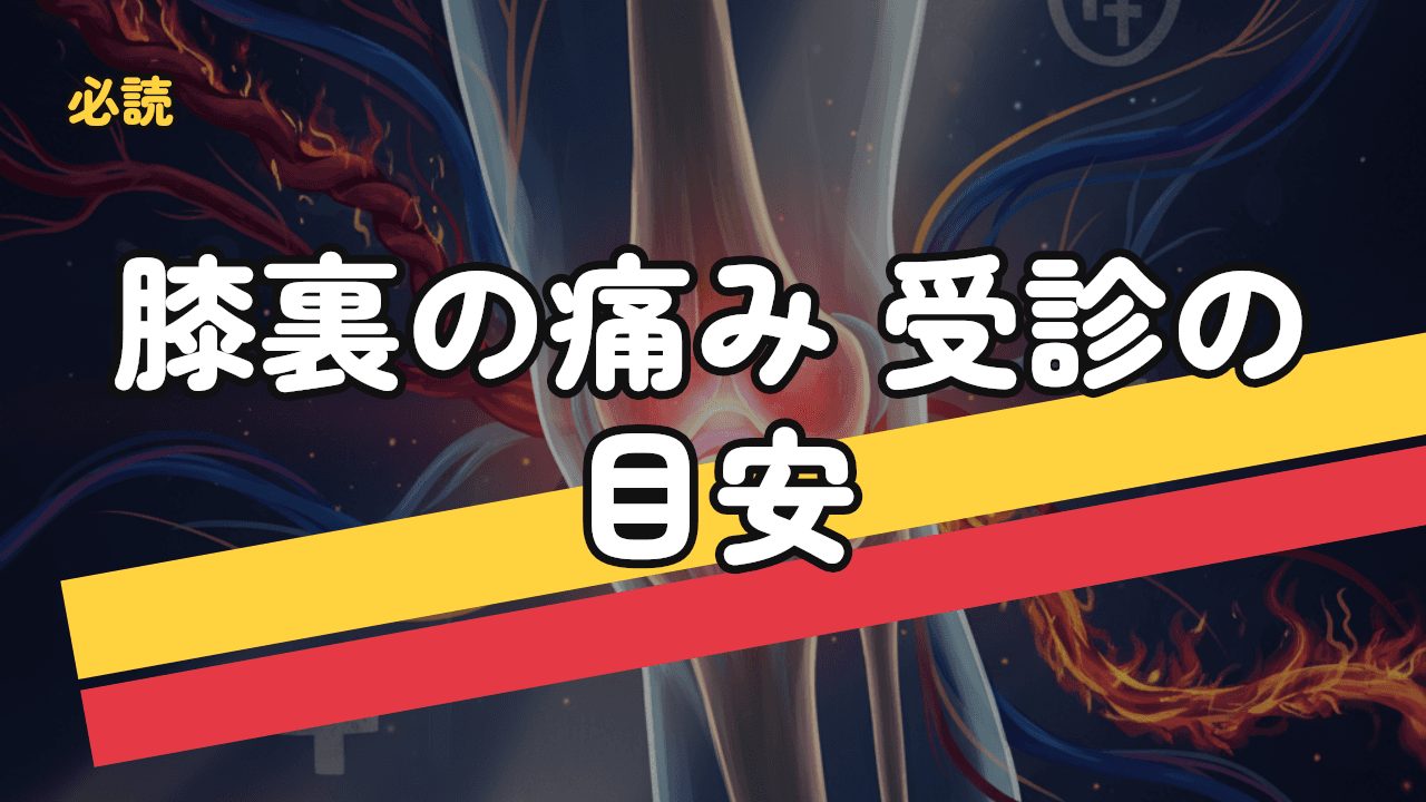 膝の裏が痛い｜原因・対処法・受診の目安を整理