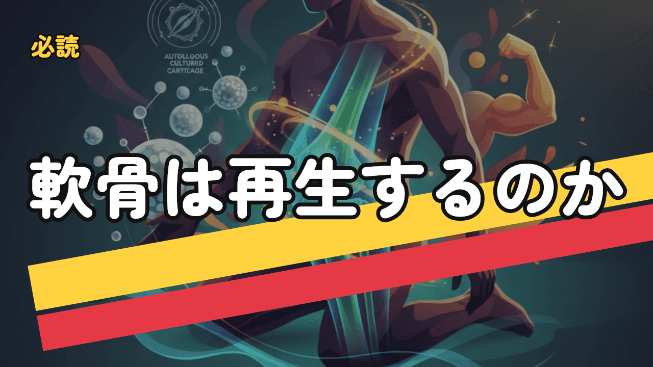 膝の軟骨は再生するのか｜自然治癒・再生医療・サプリの科学的現実