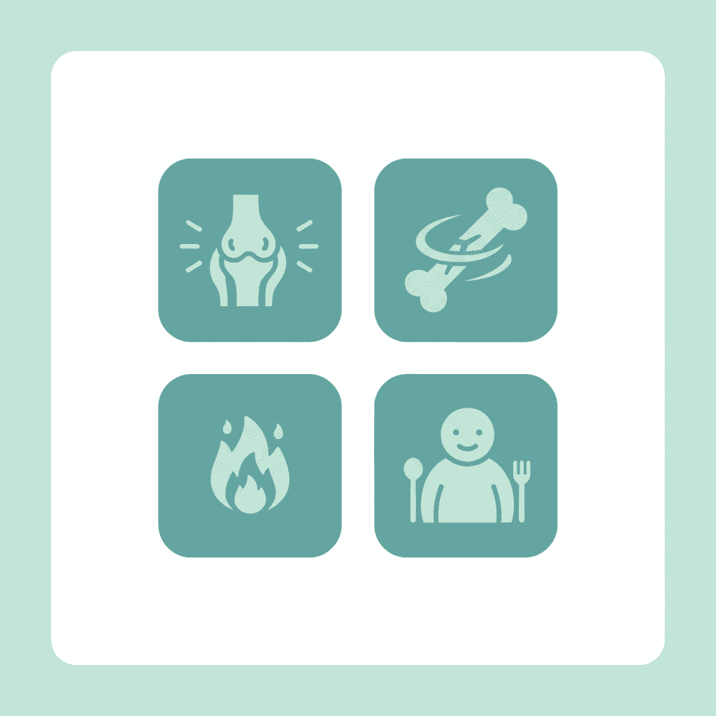 膝の痛みの原因4パターンを示すイラスト